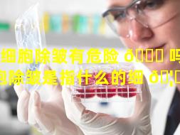 干细胞除皱有危险 🐝 吗（干细胞除皱是指什么的细 🦁 胞）